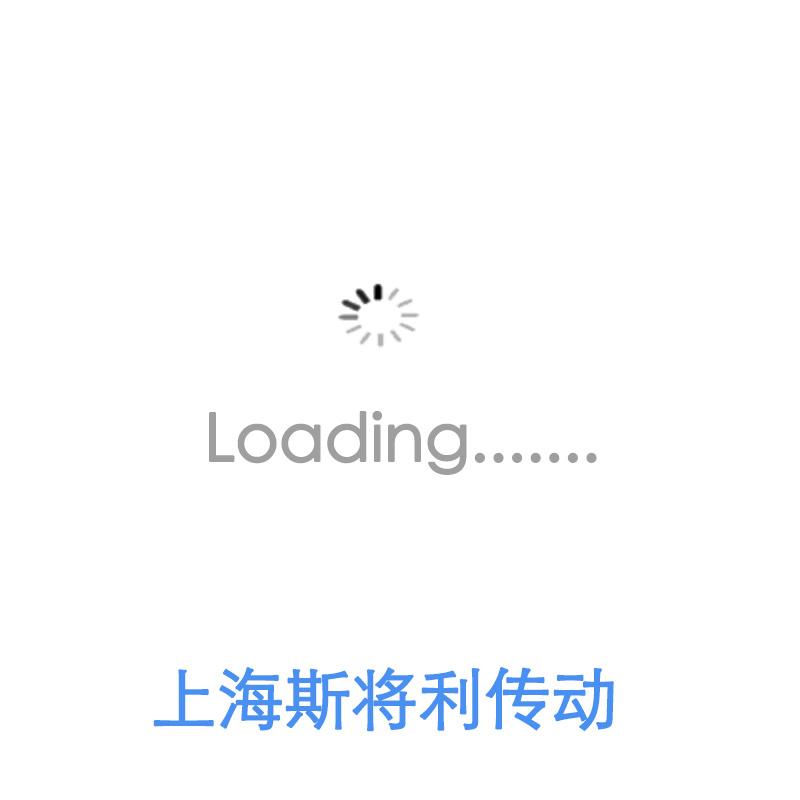 HIWIN上银 RSI 上银滚珠丝杆螺母钢珠